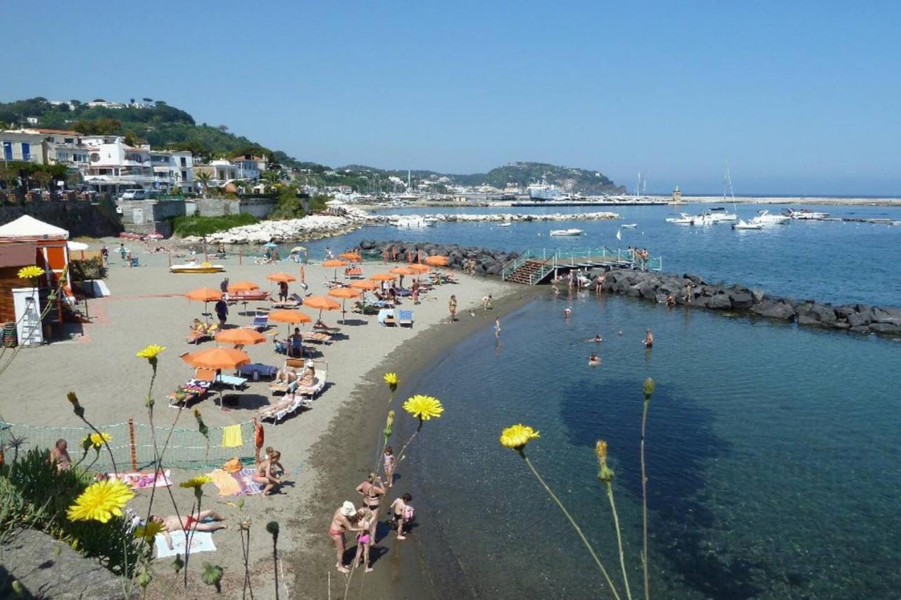 La Terrazza Dell^Ippocampo #Seaview Apartment Ischia Buitenkant foto