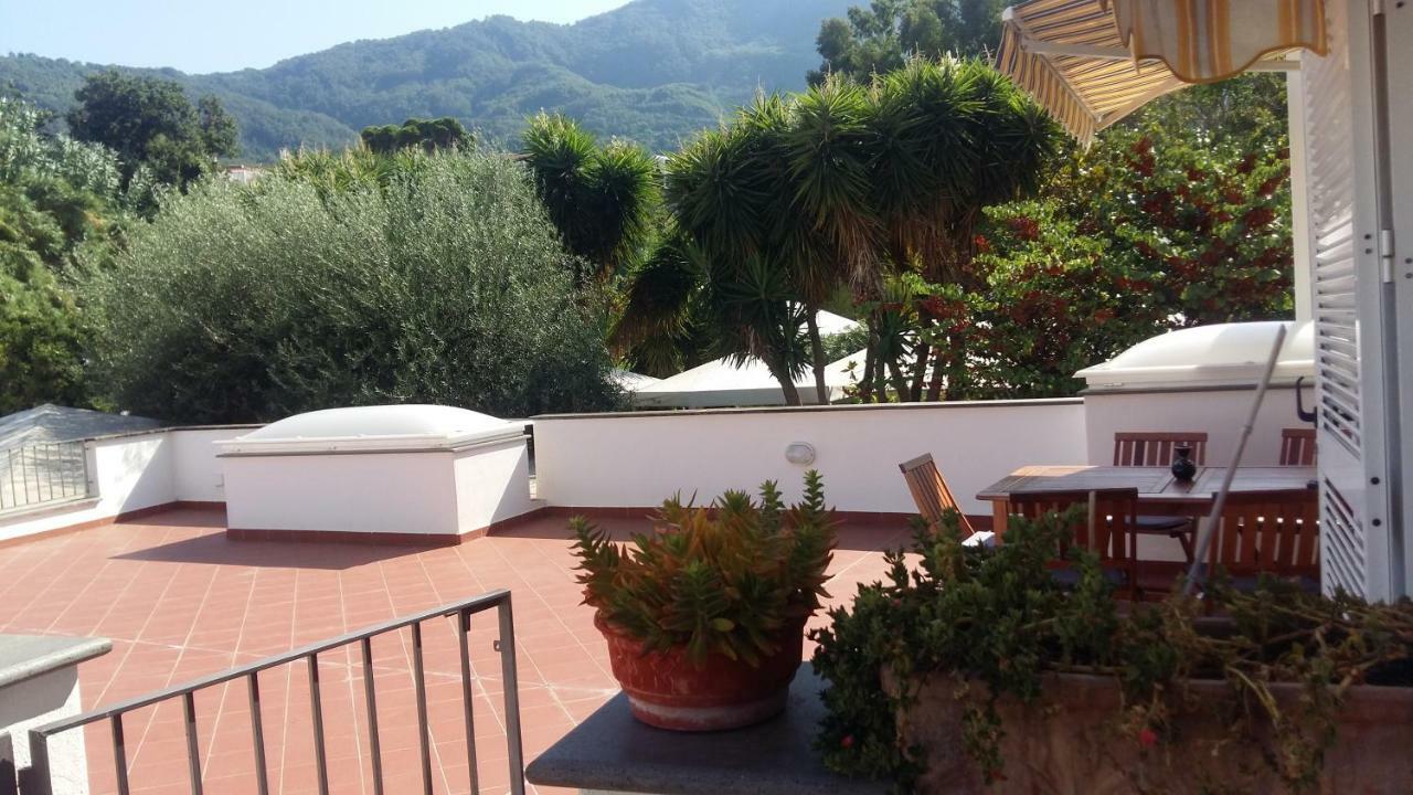 La Terrazza Dell^Ippocampo #Seaview Apartment Ischia Buitenkant foto